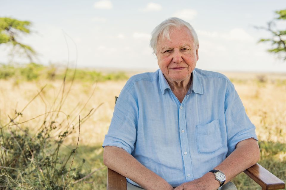 Sir David Attenborough continues to have a thriving broadcasting career