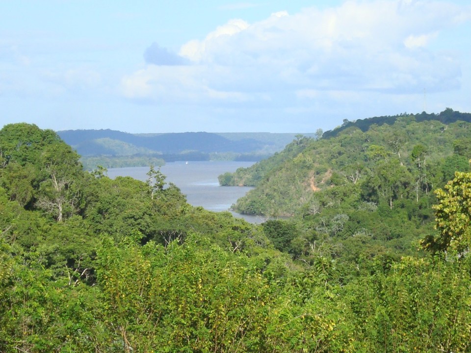 a large body of water surrounded by trees on a hillside