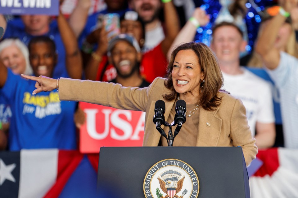 Americans will choose between Kamala Harris (pictured) and Donald Trump on Tuesday