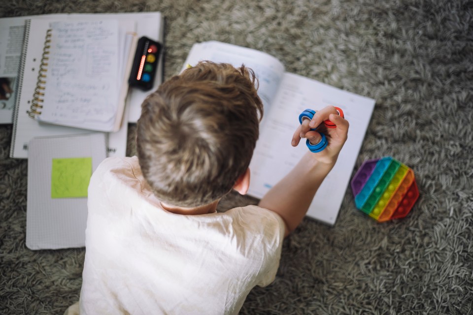 Parents of children known to social services will be banned from home schooling without special permission under a crackdown