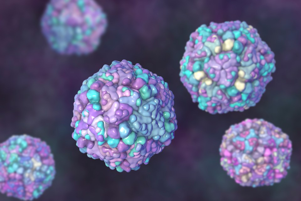 Kawasaki norovirus is a new strain of the virus currently dominating the UK