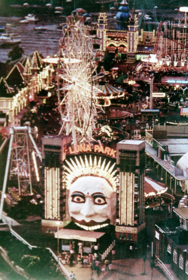 an aerial view of luna park with a ferris wheel in the background