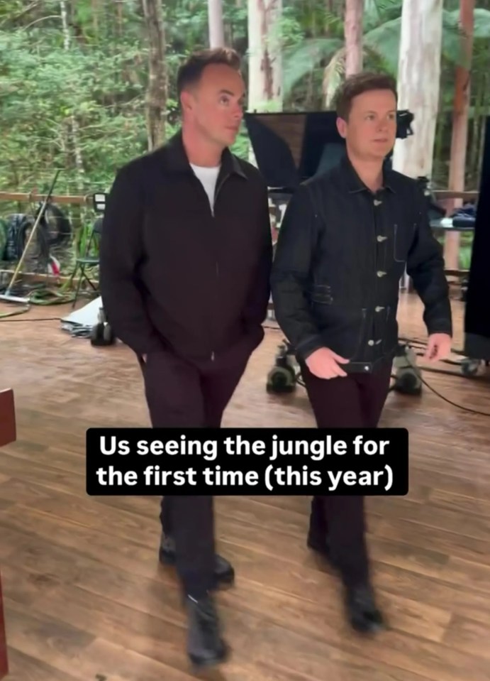 Ant and Dec were unable to contain their excitement as they saw the jungle for the first time