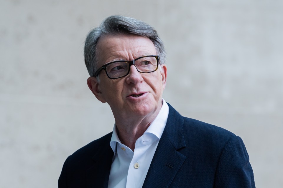 Aspiring US Ambassador Peter Mandelson said: 'There are many industrial and technological opportunities available to us in Britain that could form part of the basis of a new economic relationship (with America)'