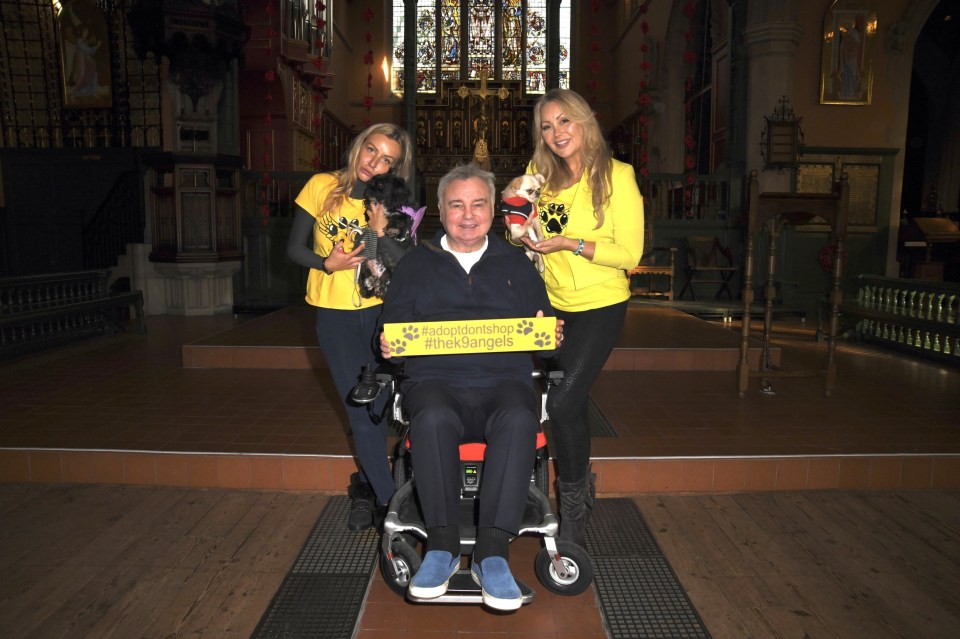 a man in a wheelchair is surrounded by two women holding dogs