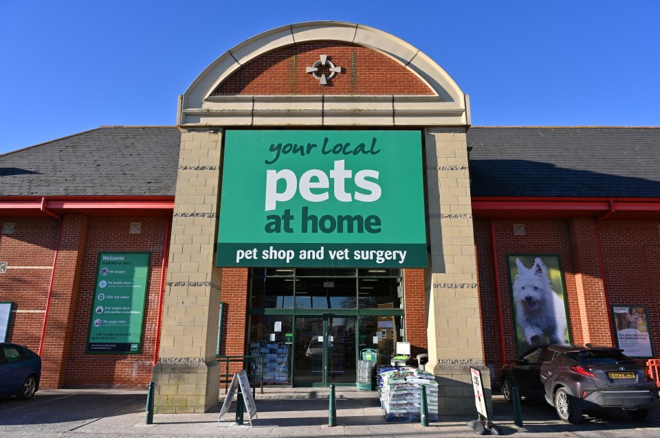 Pets at Home shares fall after it warned profits would be lower as the boost from the pandemic pet boom fades