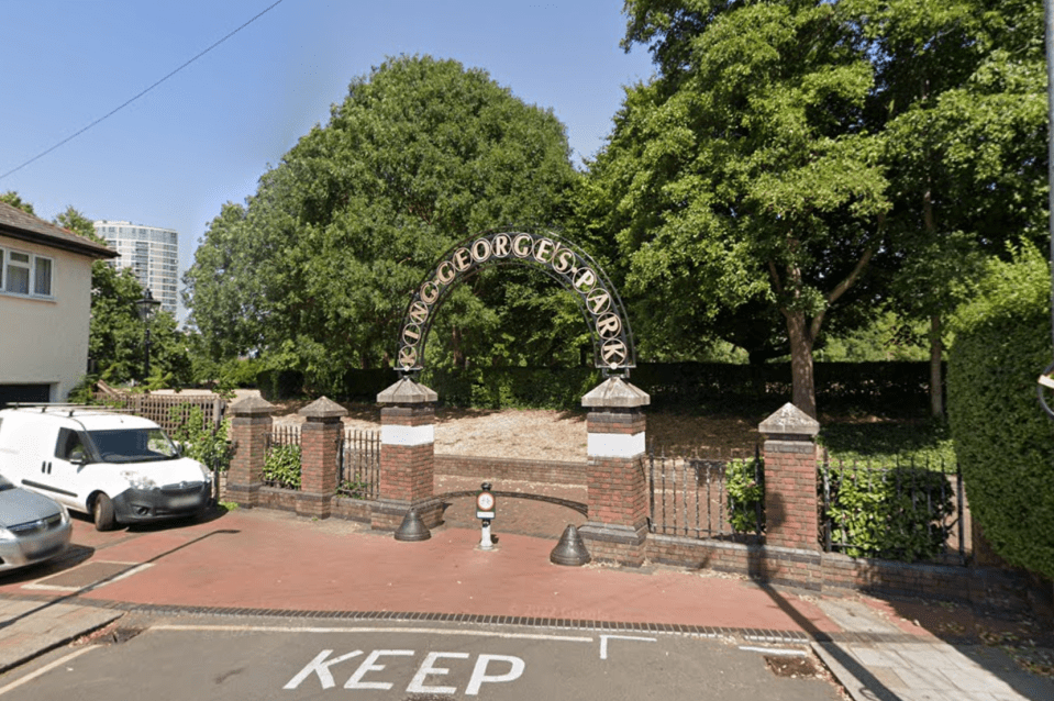 The alleged attack is said to have taken place in St George's Park, Wandsworth