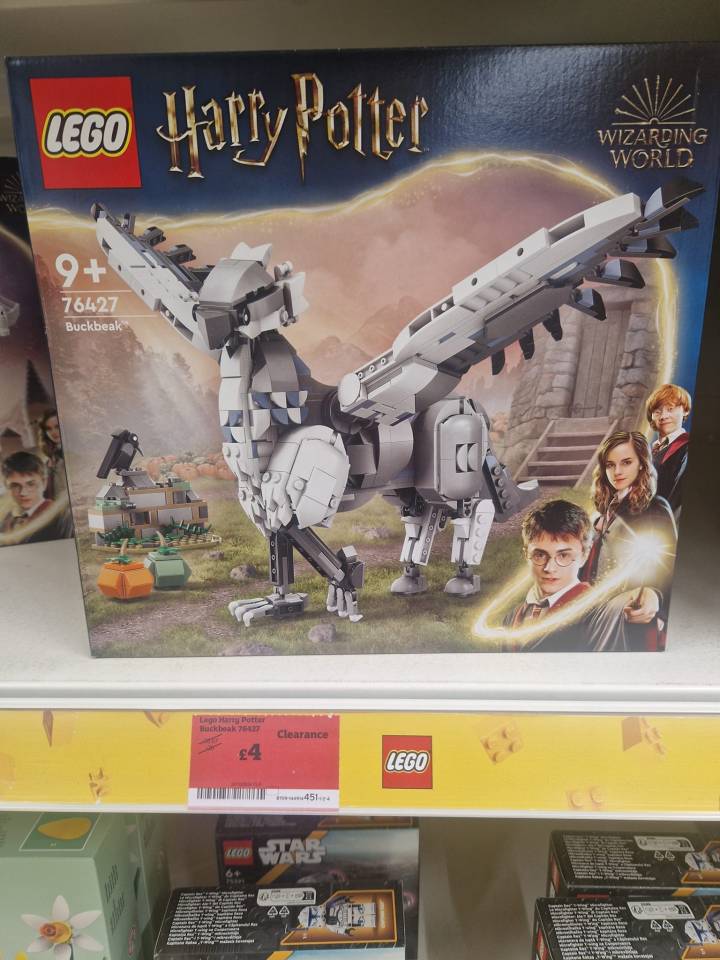 The Harry Potter Lego set normally retails for £36 but had been reduced to just £4