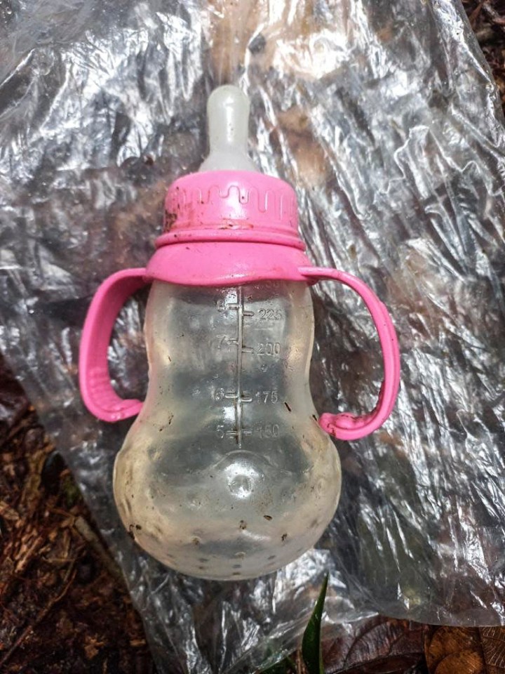 A baby's bottle near the crash site gave rescuers hope