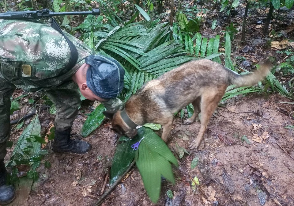 More than 150 soldiers with dogs were dispatched