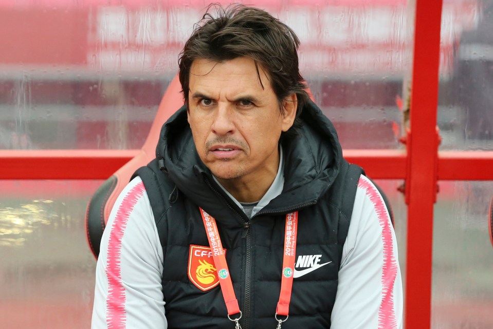 Chris Coleman has been appointed as the new manager of OH Leuven