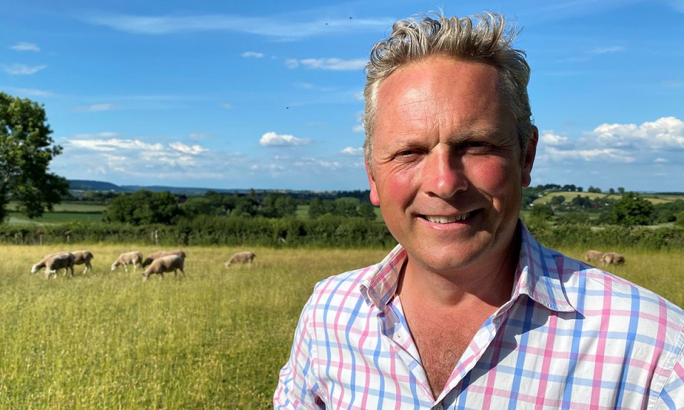 a man in a plaid shirt stands in a field with sheep in the background