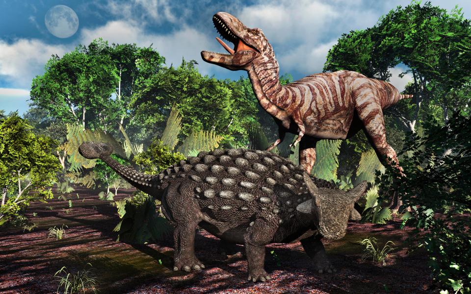 A carnivorous T.Rex approaching a heavily armoured Ankylosaurus