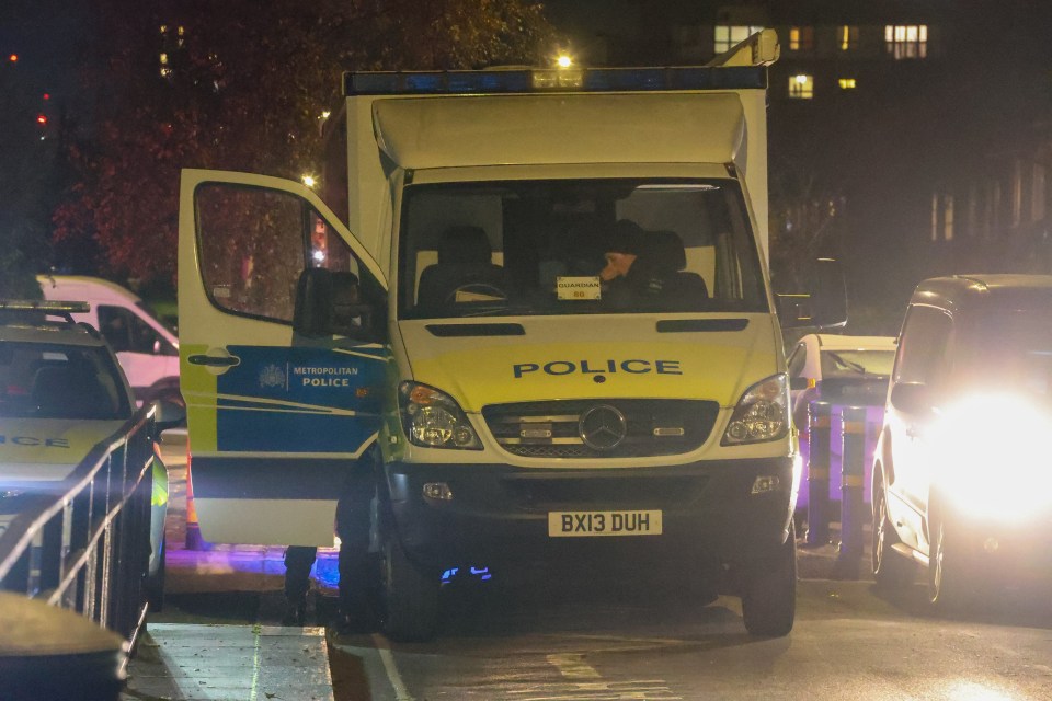 a mercedes van with the word police on it