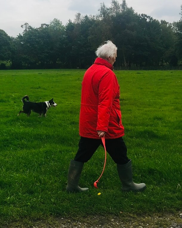 a woman in a red jacket is walking a dog on a leash