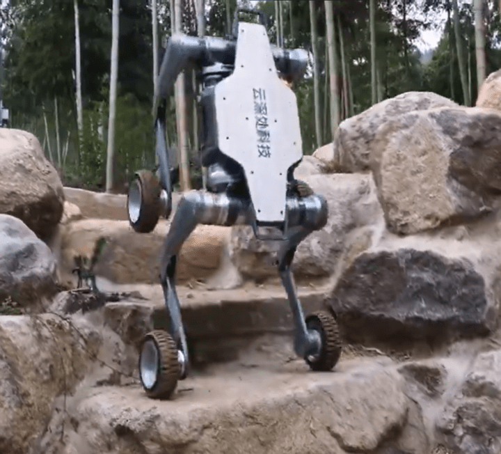 The robo-dog can even climb stairs