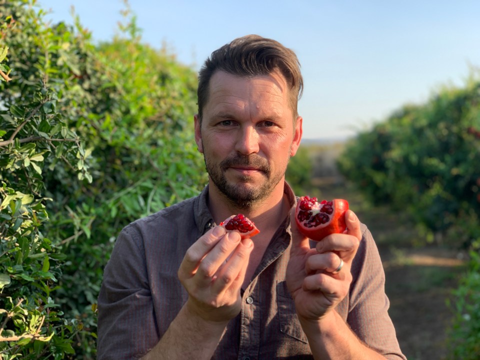 Jimmy Doherty investigates what is in a pomegranate in Food Unwrapped