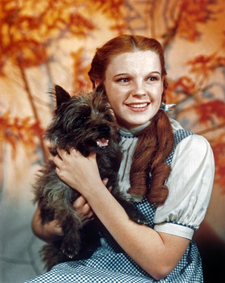 Judy Garland was forced to starve on set and was given drugs to keep her awake