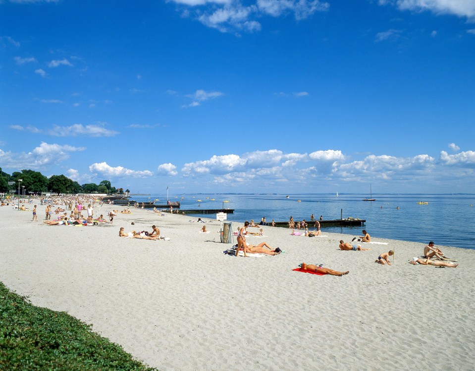 a group of people are laying on a beach near the water