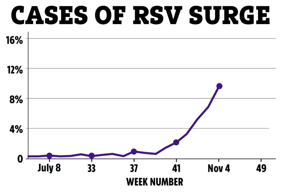 Cases of the winter bug RSV are increasing in the UK