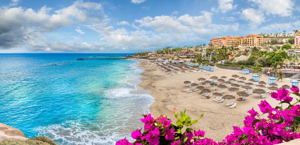 a beach with a lot of umbrellas and chairs