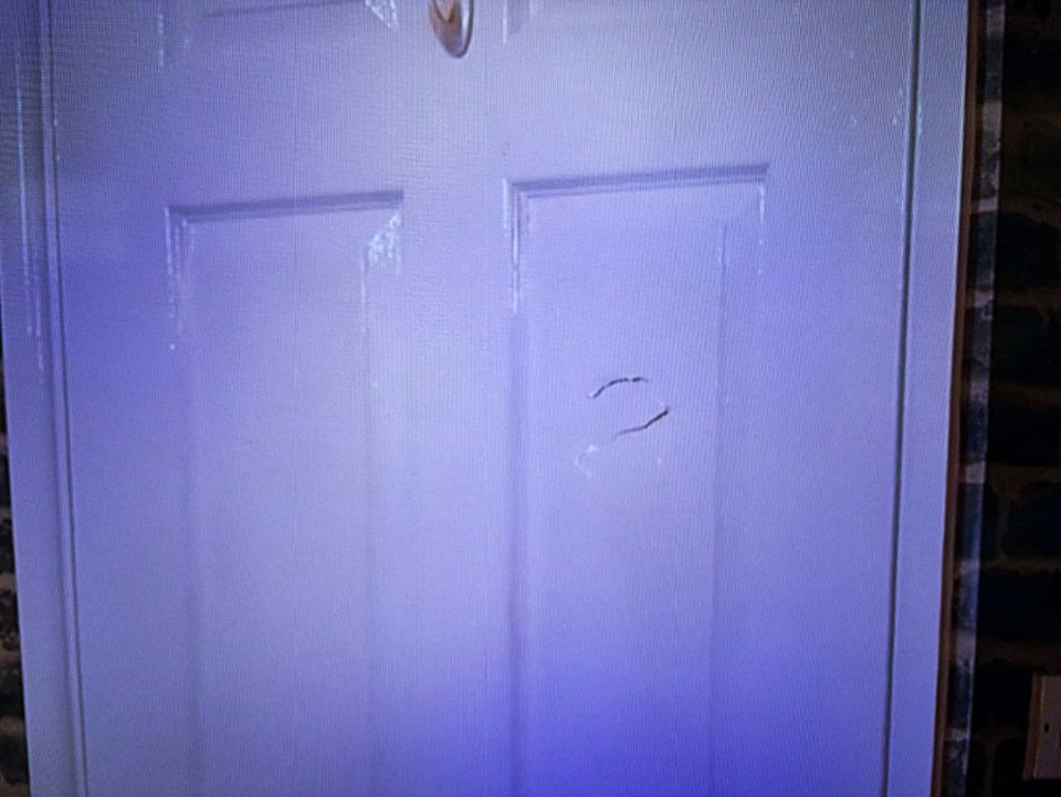 a white door with a purple light behind it