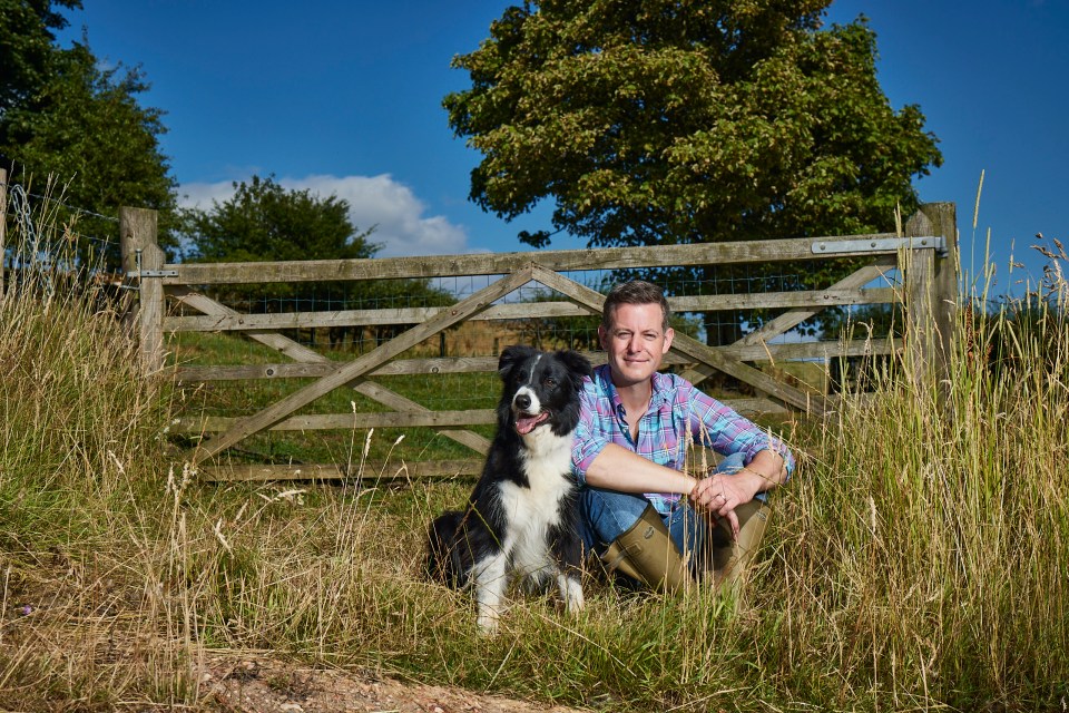 a man sits next to a dog in a field with a wooden gate in the background