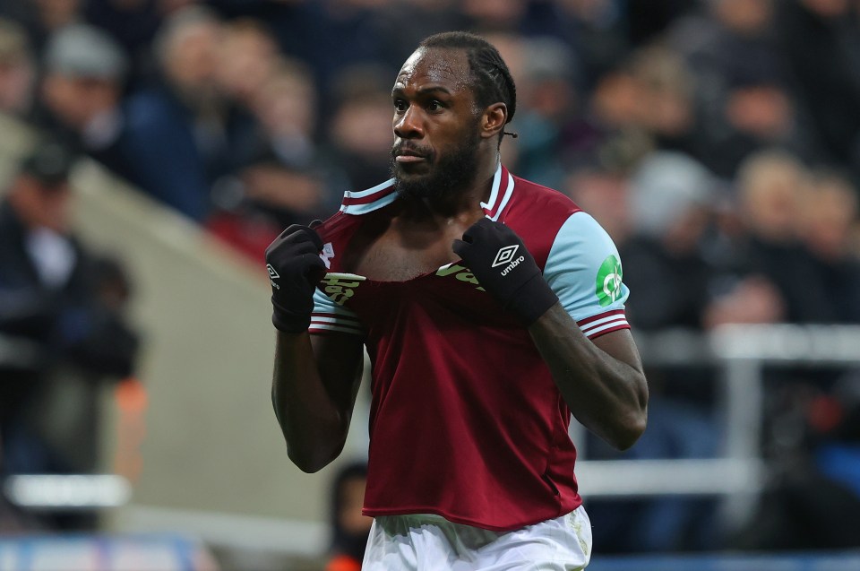 Michail Antonio pointed out his problem to the West Ham dugout