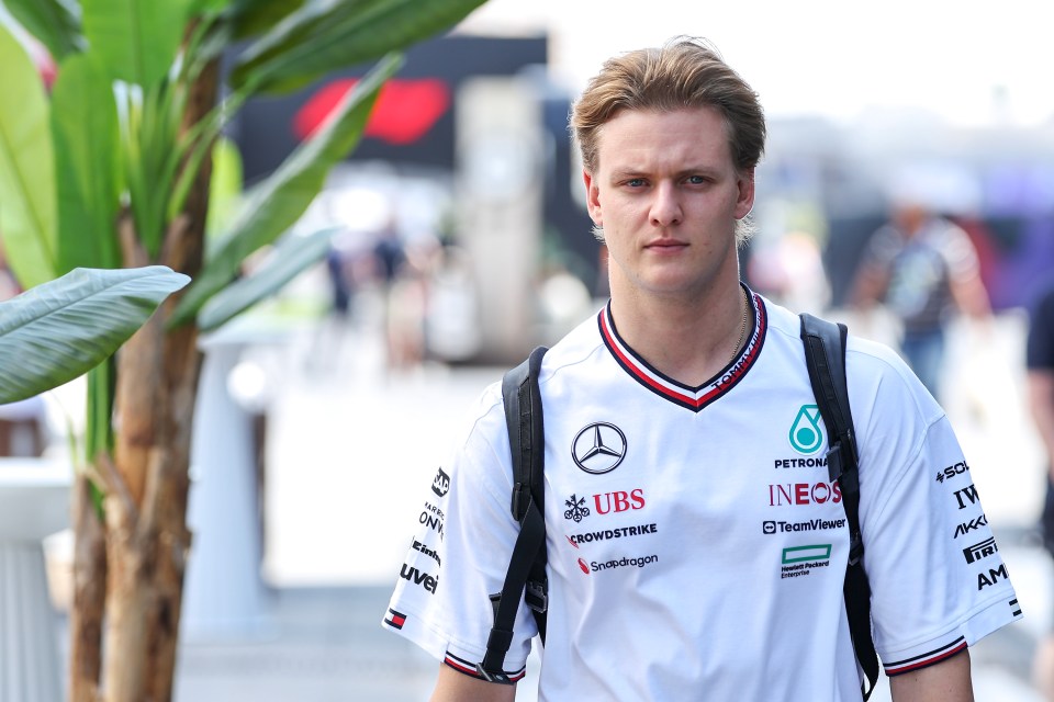 Mick Schumacher is a reserve driver at Mercedes