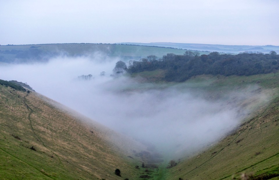 a foggy hillside with trees in the background