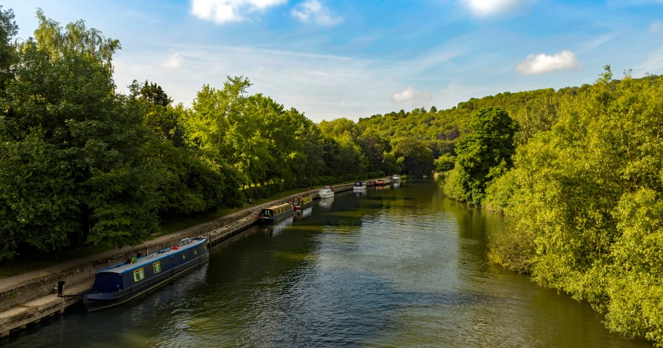 Visitors can go on a stunning river boat cruise