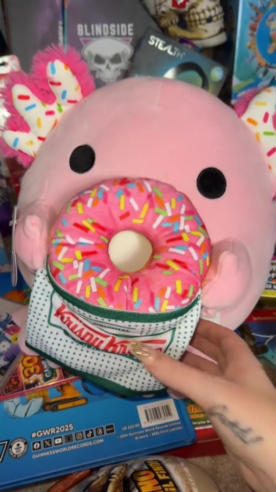 She got him a pink Krispy Kreme Snackles plushie from Smyth's, which was £20