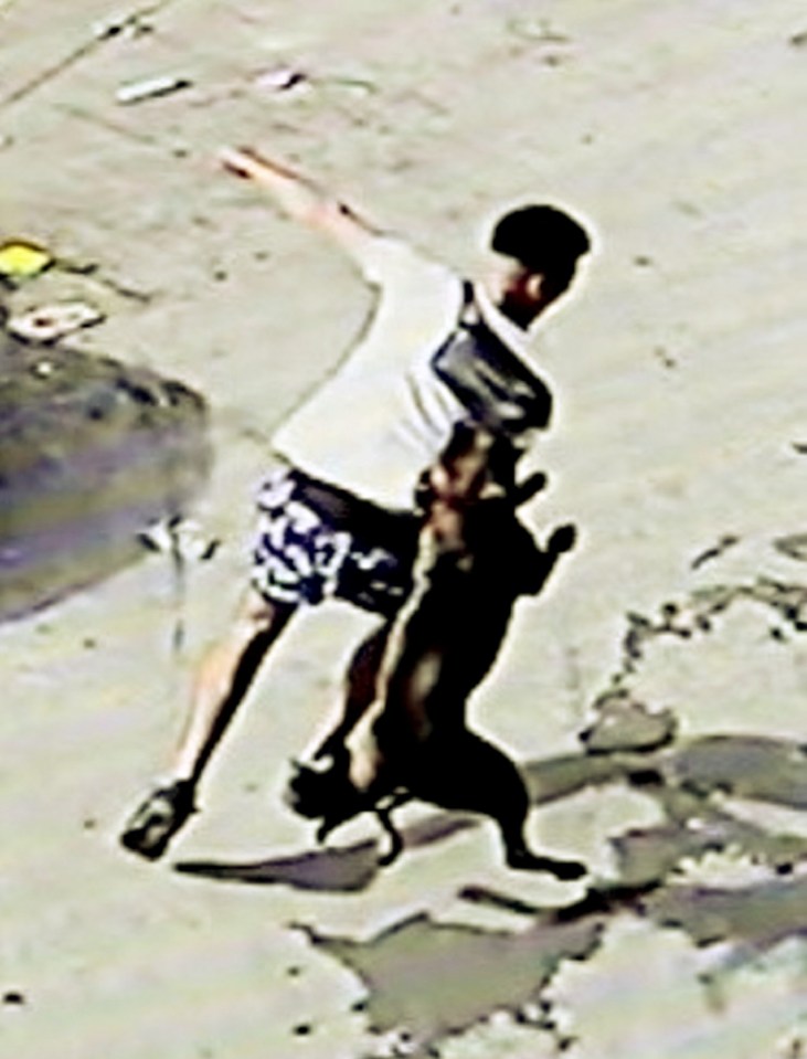 CCTV footage of a dog mauling a man in Birmingham