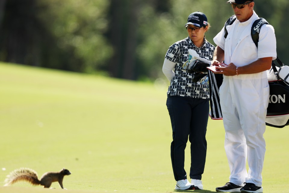 Nasa Hataoka encountered a squirrel at the third hole