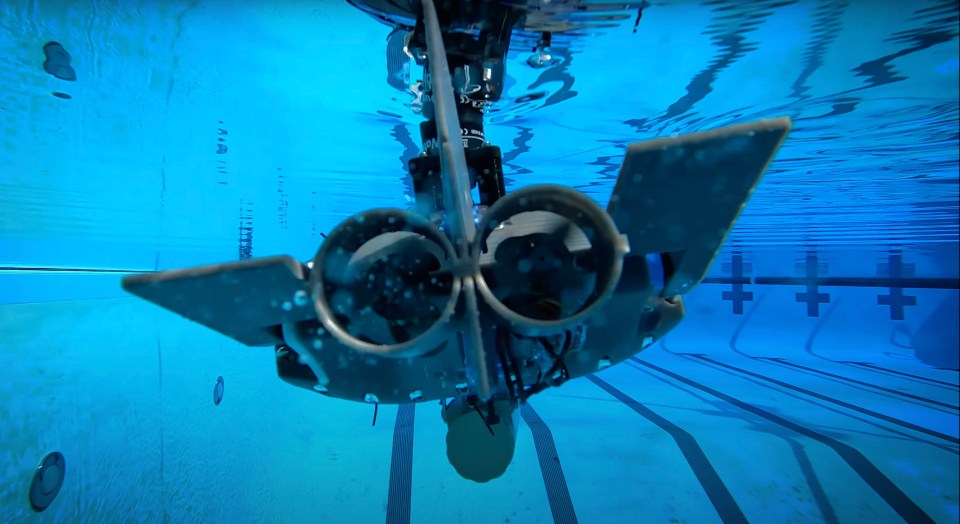 The robot fish can propel themselves underwater – and even navigate on their own