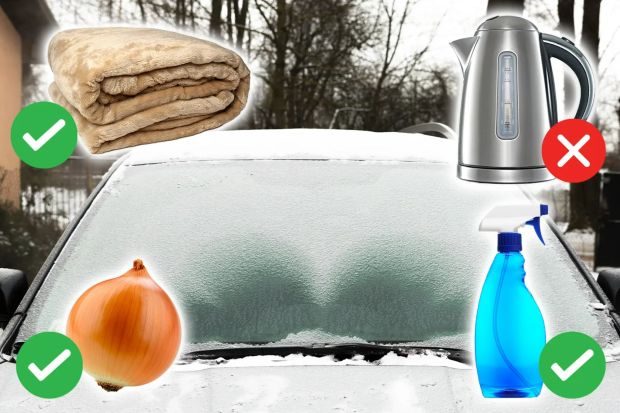 a picture of a blanket an onion and a spray bottle