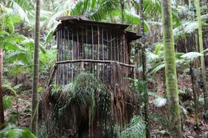  The Jungle set has lots of elaborate installations