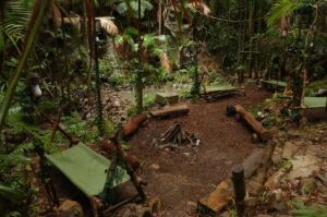  The I'm a Celebrity camp is one of the most famous film sets on British TV