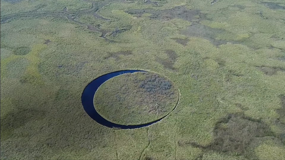 an aerial view of a swamp with a circle in the middle