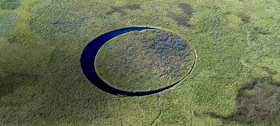 The Eye is surrounded by overgrown vegetation