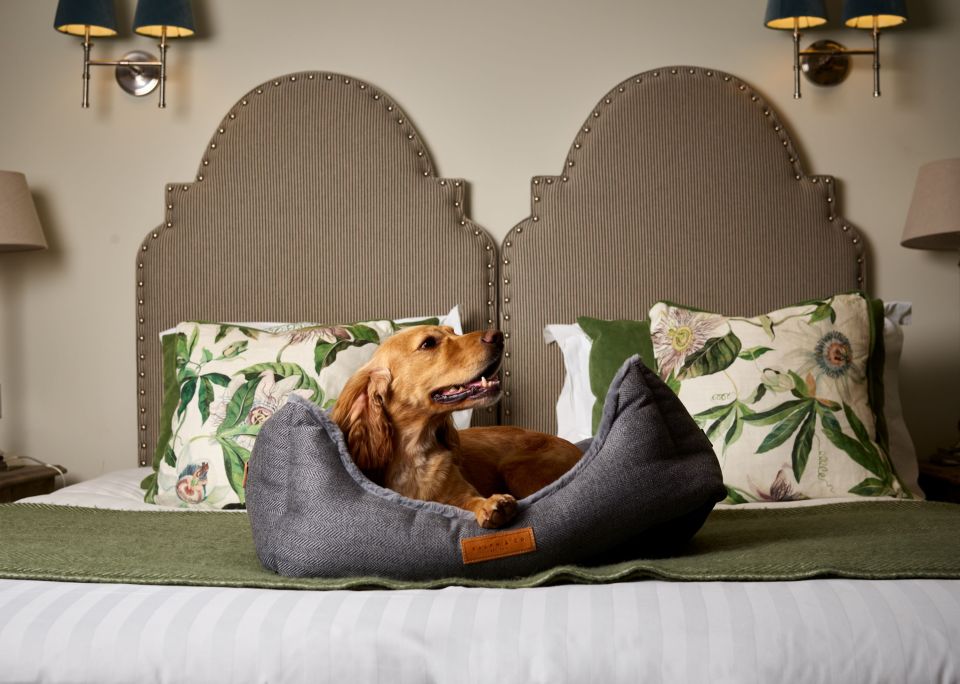 Dogs are welcome in selected snug rooms at the Montagu Arms