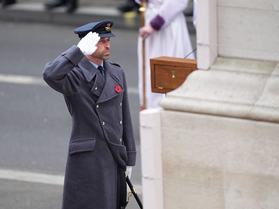 Prince William giving the salute