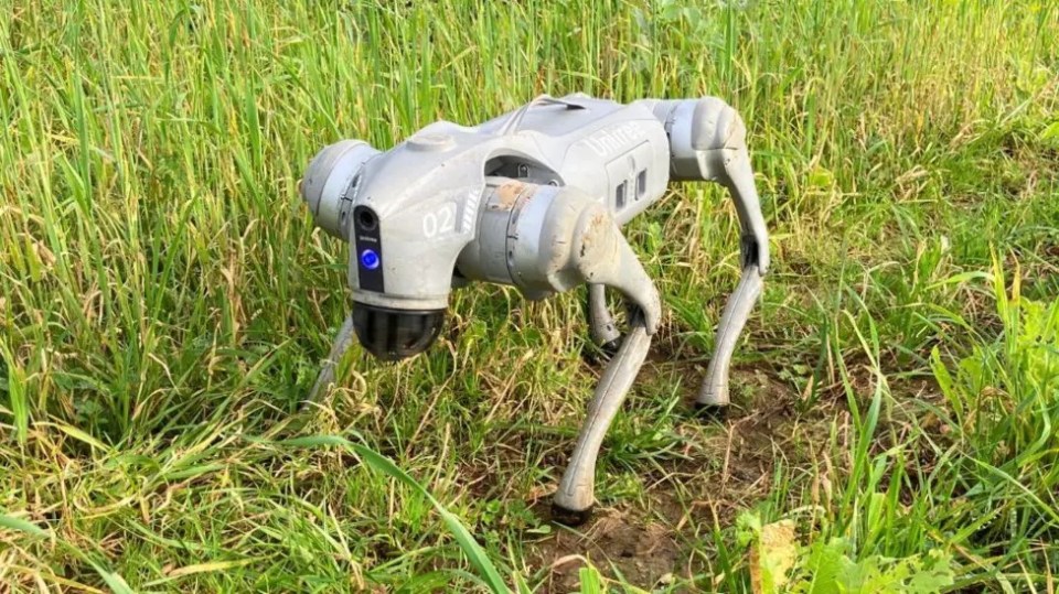 Ellie the Robot Dog can traverse the terrain of farmer's fields with ease