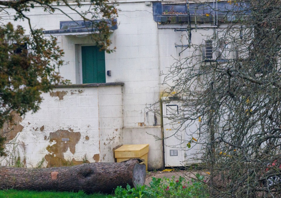 The home is said to be 'crumbling' and in need of repairs