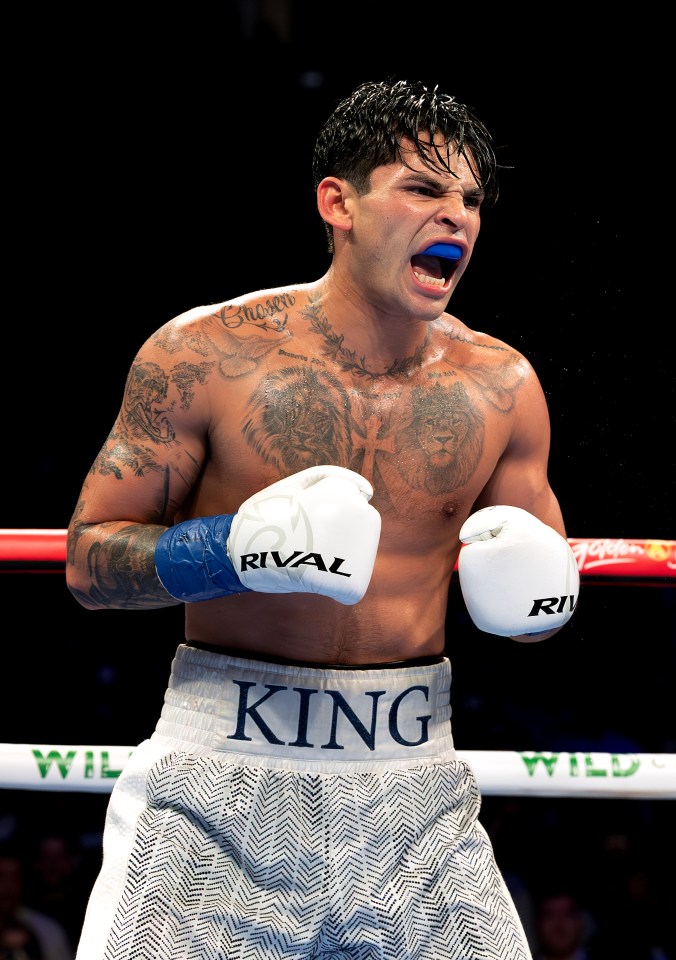 a boxer with rival gloves and king shorts