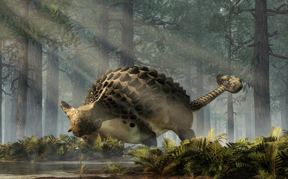 Ankylosaurus, one of the most popular dinosaurs, was a cretaceous era ornithischian herbivore