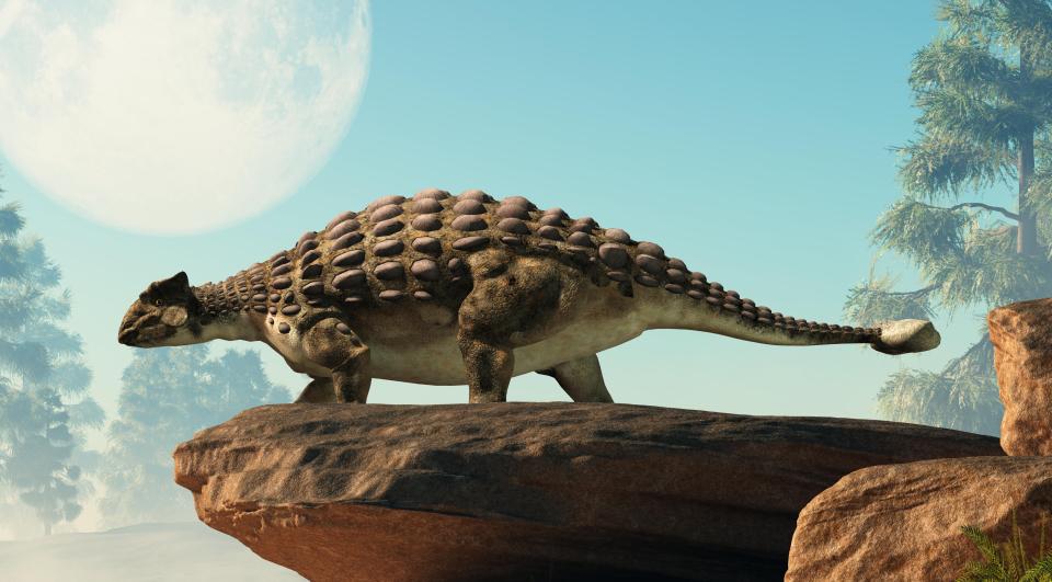 Ankylosaurus dinosaurs were herbivores