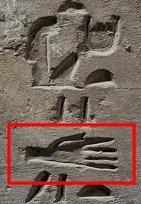 Iconographic evidence of severed hands