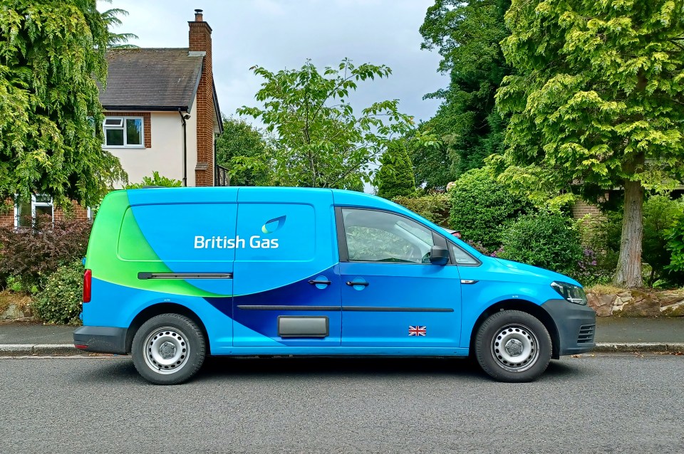 British Gas is offering customers half price electricity this Christmas