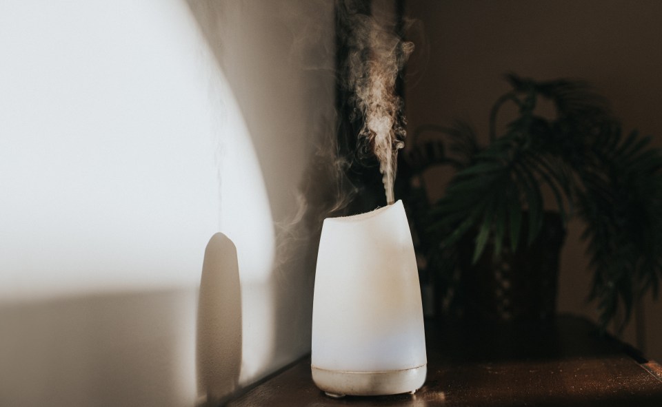 Using a humidifier could help add some moisture back into your skin